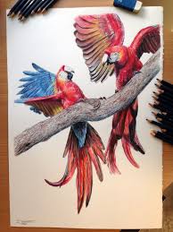 Drawing birds and butterflies isn t just about replicating their patterns and colors. Realistic Red Parrots Macaws Drawing Color Pencil Sketch Pencil Drawings Of Animals Realistic Drawings