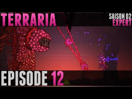 terraria expert 12 au pied du mur expert terraria terraria chasse peche chasse