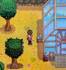 The calico desert casino is you can forage for coconuts and cactus fruit. Does Anyone Else Think Coconut Oil Should Be A Thing Stardewvalley