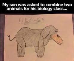 Evidence Of Kids Being Stupid And Weird Funny Pictures For Kids Funny Kid Memes Fun Quotes Funny