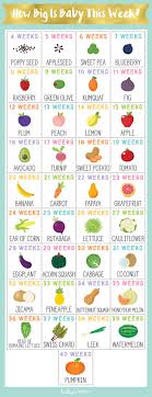 Pregnancy Fruit Chart Lovely A Fruit And Ve Able Baby Size