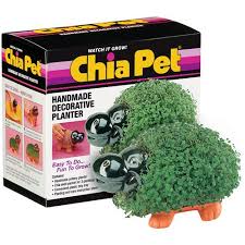 as seen on tv chia pets chia hippo walmart com in 2021 chia pet pets food animals