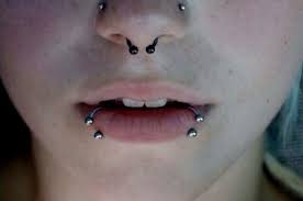 Snake Bites Cool Piercings Face Piercings Cute Piercings
