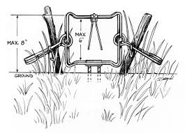 Groundhogs have a big appetite for. Regulations For Body Grip Traps Set On Land Nys Dept Of Environmental Conservation