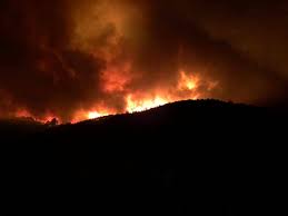 Já está dominado o incêndio que deflagrou, esta noite, na freguesia do jardim da serra. Incendios Fogo Do Algarve Obrigou A Retirar De Casa 81 Pessoas E A Evacuar Canil Noticias De Coimbra