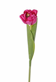 A luxury range of silk, artificial and faux flowers that even feel like t. Artificial Flowers And Plants Wholesale Top Art Int Detailansicht Real Touch Most Natural Tulip Full Bloom O 6 5 5 5cm 6 Layers Top Art 60 2 Lvs Real Touch 45cm