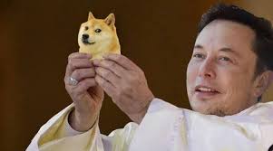 It's the peolpes currency, you know it's the best. Dogecoin Price Spikes After Elon Musk S Snl Appearance Tweet Memes Take Over Twitter Trending News The Indian Express