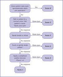 Gcs is not only a tool to assess and score mental. Glasgow Coma Scale Flow Chart A Beginner S Guide British Journal Of Nursing