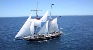 Kapal laut adalah alat transportasi yang bergerak di laut. 15 Alat Transportasi Air Beserta Gambar Dan Macam Macamnya