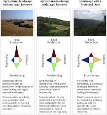Advantage pest & weed control uses only the best products available in the industry. Why Brazil Needs Its Legal Reserves Sciencedirect