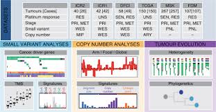 With timely diagnosis, testicular cancer is most likely treatable and most often curable. Genomic Landscape Of Platinum Resistant And Sensitive Testicular Cancers Nature Communications