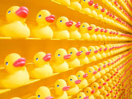 We did not find results for: Hd Wallpaper Yellow Rubber Ducks Yellow And Red Rubber Duck Lot Shop Options Wallpaper Flare