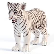 Pin Na Doske Tiger 3d Models