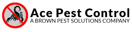 We listen to the customer because we know that a service company is nothing without their customers. Pest Control And Extermination Services Midland Odessa Tx Ace Pest Control