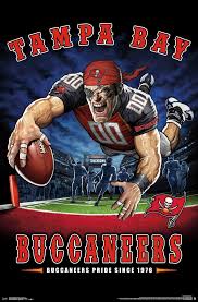 Nfl Tampa Bay Buccaneers End Zone 17 Tampa Bay Buccaneers Tampa Bay Buccaneers Football Buccaneers