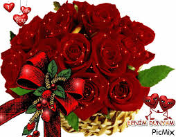 The best gifs are on giphy. 10 Beautifully Animated Rose Images Rose Images Flower Wallpaper Flowers Gif