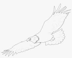 Maybe you would like to learn more about one of these? Drawn Eagle Easy Draw Drawing Png Image Transparent Png Free Download On Seekpng