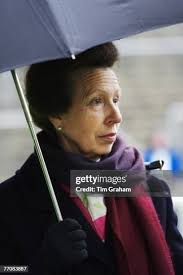 190 Injured Jockeys Fund Stock Photos, High-Res Pictures, and Images