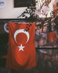 Turk Panosundaki Pin