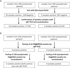 4 26 japan in december 2013, a japanese tourist returning to japan was diagnosed with zika virus infection by the national institute of infectious diseases after visiting the french polynesian island of bora bora , becoming the first. Screening And Exclusion Of Zika Virus Infection In Travellers By An Ns1 Based Elisa And Qrt Pcr Clinical Microbiology And Infection
