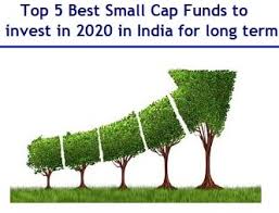 Best Equity Mutual Funds To Invest In | Mutual Fund - Top Stories -  Business Standard
