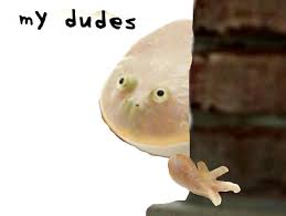 Share the best gifs now >>> It Is Wednesday My Dudes Album On Imgur