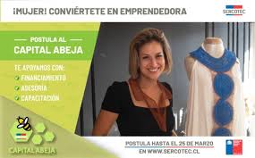 Es un fondo concursable de sercotec que apoya la puesta en marcha de nuevos negocios con oportunidad de participar en el mercado. Sercotec Abre Convocatoria De Capital Abeja 2020