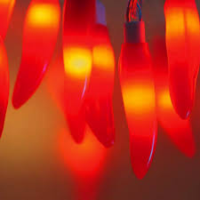 4.6 out of 5 stars. Chilli Fairy Lights Red