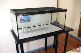 See more ideas about turtle, turtle tank, turtle habitat. How To Set Up An Aquatic Turtle Tank