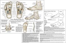 Foot Reflexology And Acupuncture Chart