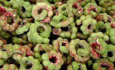 Growing fruit trees in new england many homeowners already enjoy the challenge and reward of growing fruit bearing trees. Tropical Fruit Bearing Trees