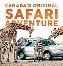 Family Travel Guide, African Lion Safari