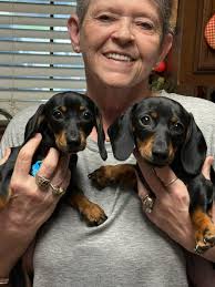 Which smartphone brand is best?