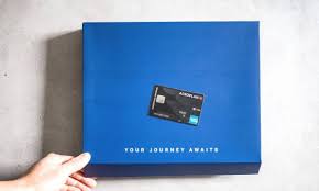 So whether you love (or hate) the $200 annual airline fee credit , the up to $200 in annual uber cash and up to $100 in annual saks fifth avenue credits , they'll be sticking around. Everything You Need To Know About The New American Express Aeroplan Cards Going Awesome Places