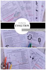 These Pages Are Terrific For Mid To Higher Level Biology High School Students To Review Their Understand High School Biology Classroom Planning Biology Lessons