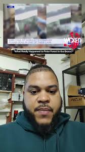 Peter P Fluid Forest New York