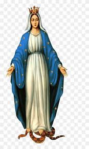 See more of imagenes de la virgen maria on facebook. Virgen Mary Png Images Pngwing