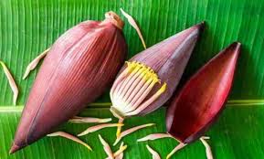 Lebih tepatnya pisnag kepok merupakan pisang yang lebih enak dinilmati saat sudah dioleh. 27 Manfaat Jantung Pisang Kandungan Dan Efek Sampingnya