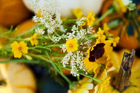 10 Tipps Fur Die Gartenarbeit Im Herbst Plant Happy Gartenarbeit Pflanzen Garten