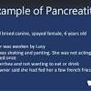 It is currently the third leading cause of cancer deaths in the united states — and it's projected to move as a human physiology textbook author, i am endeavoring to answer questions in a social forum for people with pancreatic cancer. 1