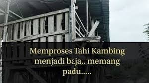 Cara membuat pakan kambing fermentasi dengan em4 selanjutnya adalah dengan mencampurkan bahan yang sudah disiapkan itulah tadi beberapa penjelasan singkat namun lengkap terkait cara membuat pakan kambing fermentasi dengan em4, serta bahan apa saja. Wak Warisan Tengok Memproses Tahi Kambing Menjadi Baja Youtube