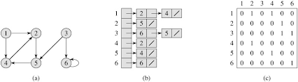 chapter 22: elementary graph algorithms