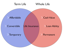 By les masterson posted : Term Life Vs Whole Life A Consumer S Guide
