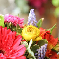 Gentle Thoughts Spray By Teleflora In Anoka Mn Main Floral