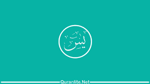 Mahya channel 192 views1 month ago. Download Surat Yasin Mp3 Dari 35 Qori Terbaik Gratis Quranlite Id