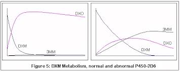 Erowid Dxm Vault Dxm Faq Physiological