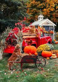 Autumn Harvest Classy Girls Wear Pearls Fall Harvest Autumn Fall Kids