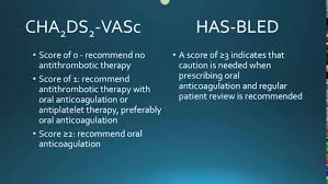 Chadsvasc score for atrial fibrillation and flutter dr jamal usmle. Cha2ds2 Vasc Has Bled Tool For Clinicians Youtube