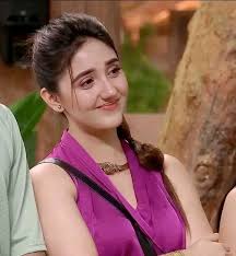 Bigg Boss Contestant Ashnoor's Behavior Sparks Debate