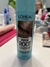 L'Oréal Paris & Garnier Root Touch-Up Tips - Boots